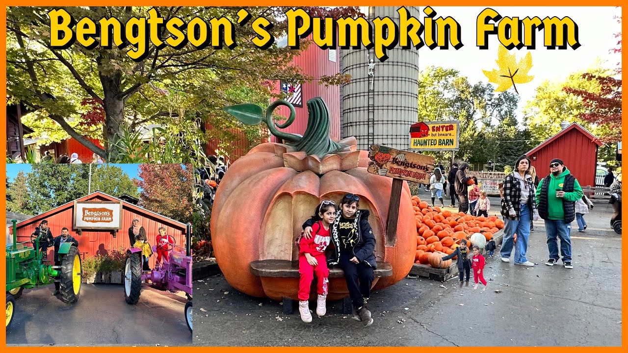 Bengtson's Pumpkin Farm 2023 pumpkin farm 2023 pumpkin patch 2023 YouTube