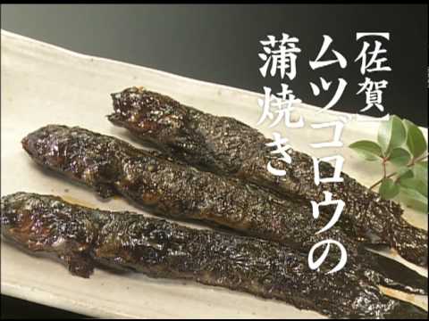 佐賀 ムツゴロウの蒲焼き 九州の味とともに 霧島酒造 Youtube