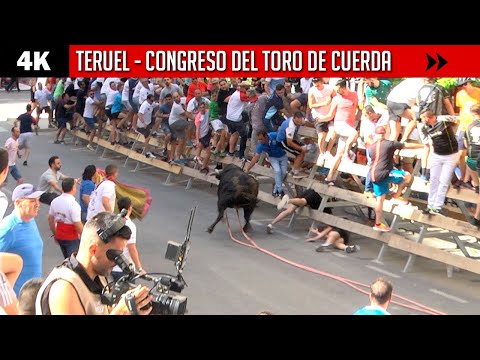 4K ▪ TERUEL ▪ CONGRESO NACIONAL DEL TORO DE CUERDA ▶ MEJORES MOMENTOS