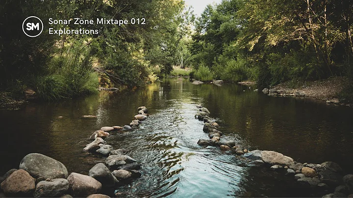 Sonar Zone Mixtape 012 Explorations - Simone M.
