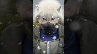 Download Lagu White Fang Ai Filter #aifilter #wolf MP3