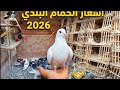 اسعار الحمام البلدي 2026