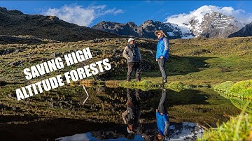 Critical Ecosystem Restoration in the High Andes | The Ecopreneurs Ep 3 | Acción Andina