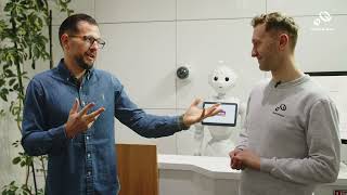 Hard Beans Stories Weegree Opole