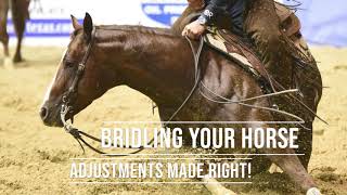 Bridling Your Horse-Adjustments Made Right!