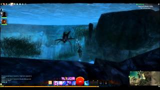 Guild Wars 2 Beta Snake Electricution and a glitch.