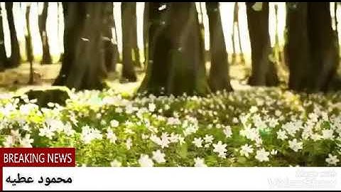 {صفات عباد الرحمن.من سورة الفرقان }