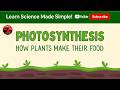 Photosynthesis Explained | Learn Science in a Simple Way 🌿✨ #youtube #science