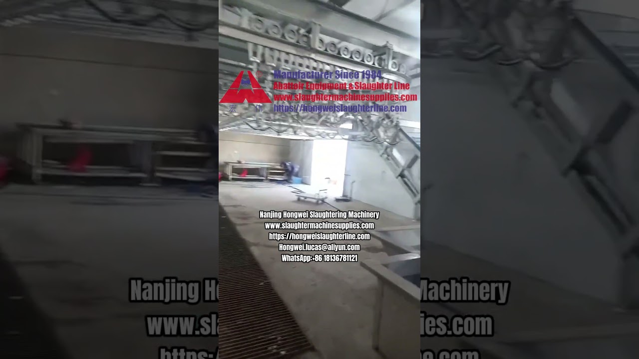 High Tech Modern Pig Dehairing Processing Line Equipment Hog Slaughtering Machinery Pork Plant