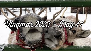 ❆ Belle & Stitch - Vlogmas Day 17 2023 ❆