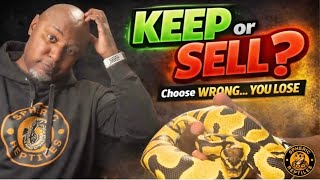 Your Future Starts Here: How to Choose Ball Python Holdbacks the RIGHT Way