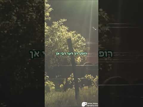 Reb Shayale Kerestirer