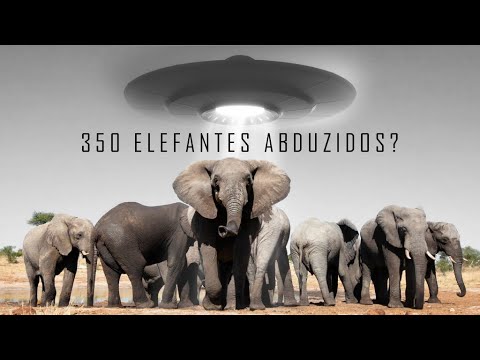 Vídeo: Ufologista Descobriu 