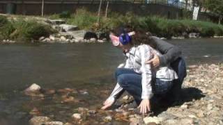 The Miracle Worker Trust Walk (Episode 2)