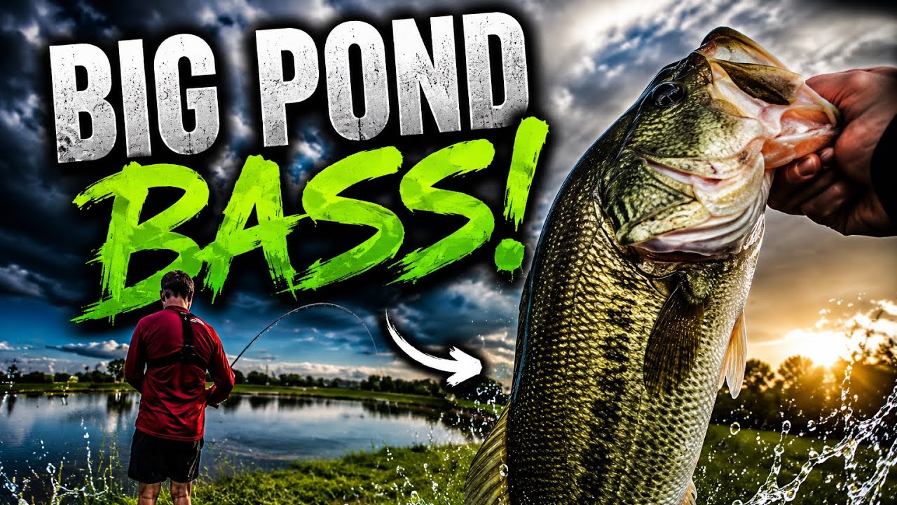 (Day 2) Pond Fishing For Big Bass!