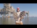 Sheepshead Fishing Mobile Bay Rigs