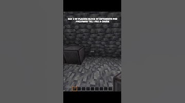 Day 2 of placing block of Netherite per follower till i fill a chunk