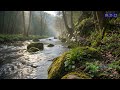 Relaxing Peaceful Meditation Music for Mindfulness Practice and Emotional Comfort
