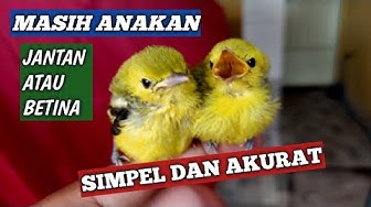 Qdr7uwu0jpfaqm