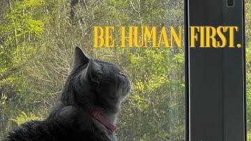 watch if you’re feeling overwhelmed