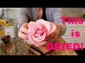 How to Preserve Flowers EASY