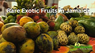 Discover Jamaicas Most Exotic and Rare Fruits!