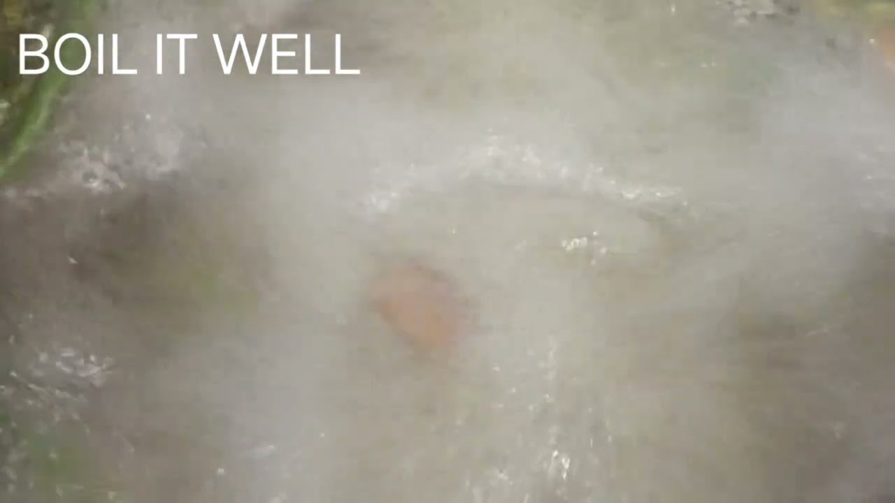 Fragrant rice, fresh veggies, and bold spices — pure veg biryani bliss.