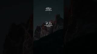 Surah ar Rad Verse 28 | #quran #islam #quranvideos #qurantilawat #quranrecitation #tilawat