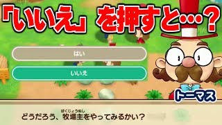 最初の選択で いいえ を押したらどうなる 牧場物語 再会のミネラルタウン Youtube