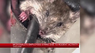 Oakland McDonald's employees strike due to rodent activity