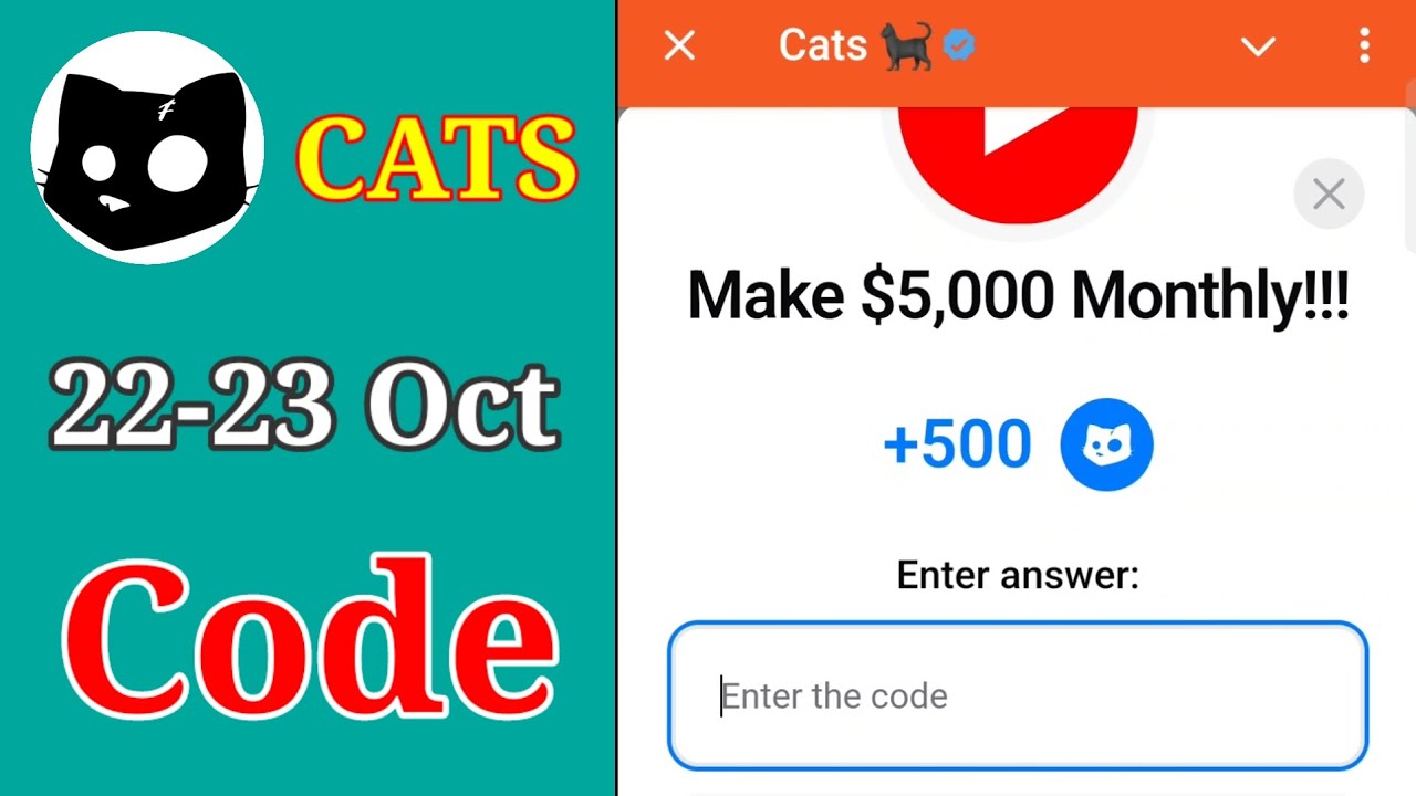 Kittens Code Make 5,000 Monthly Cats Code | Make 5000 Monthly cats video code today ...