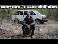 Foresty Forest Backstory - A Nomadic Life of Stealth - Van Life