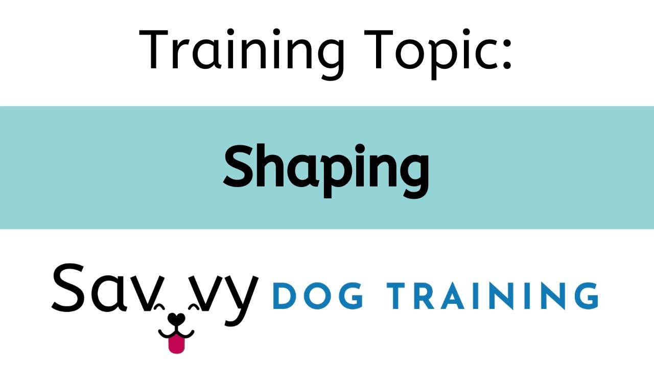 Training Topic: Shaping