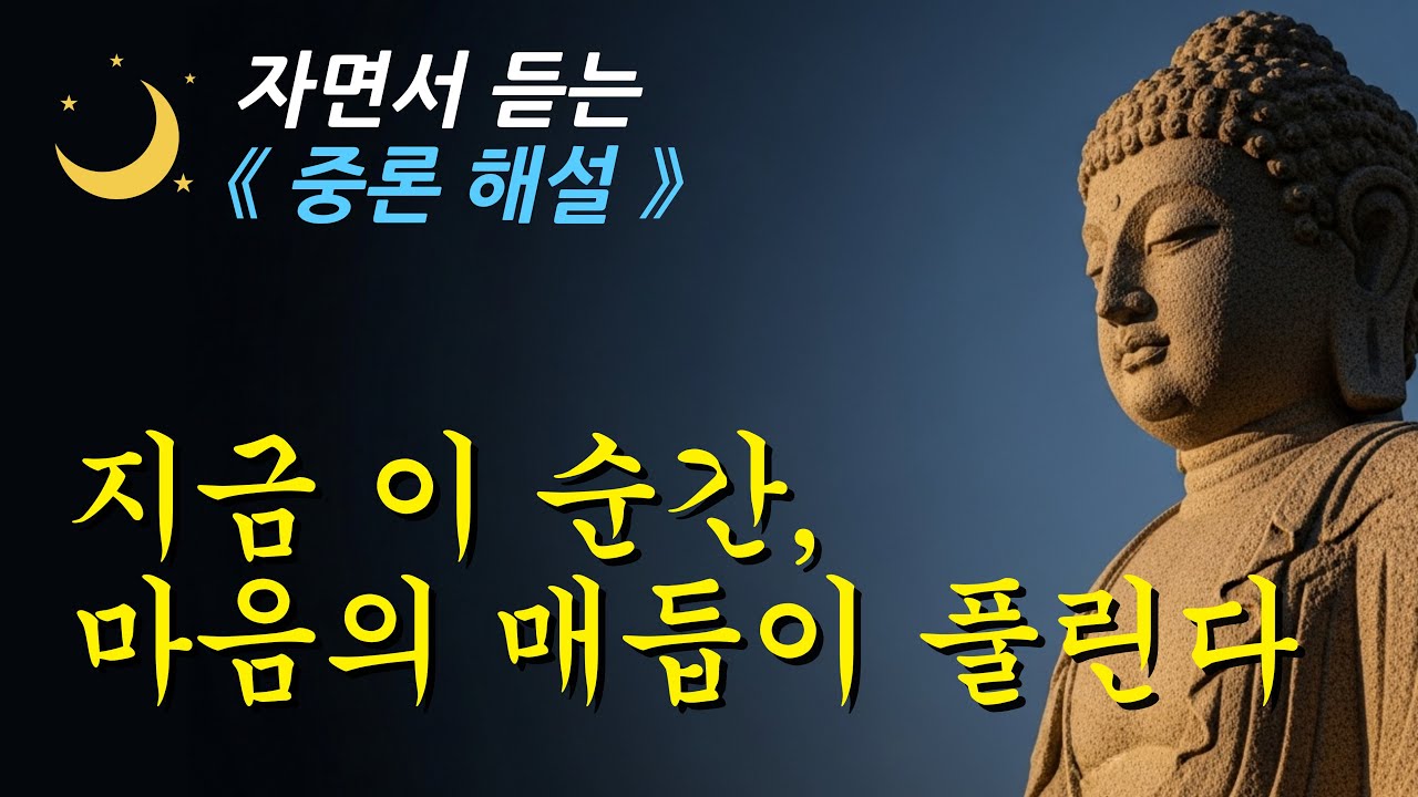 🌙 자면서 들으세요. 미래를 찾는 마음이 지금을 가린다 ㅣ중론ㅣ부처님 말씀ㅣ오디오북