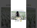 समस्या गंभीर है इंद्र भगवान धरती लोक पर अवतार लीजिए 😂😜 #viral #shortsvideo #trending #reels