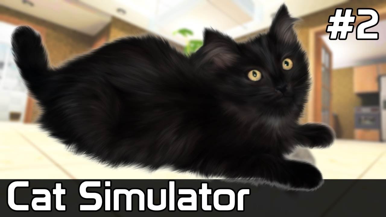 Cat Simulator Po Polsku [2] Gra z PRAWDZIWYM Kotem YouTube