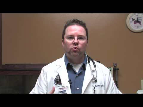 canine-diseases-&-treatment-:-home-remedies-for-dog-itching