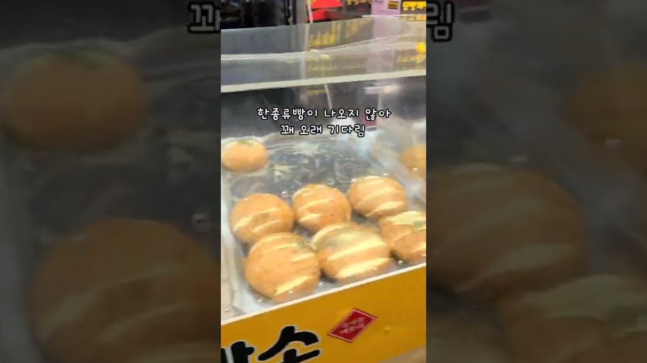 단양시장 핫플 단빵제빵소 빵순이 집합