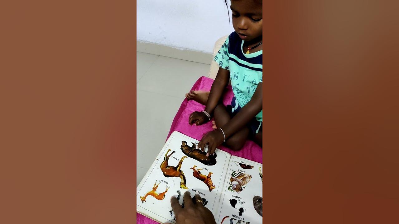 identify Animal 👍 just 2yr 😘 part 2 