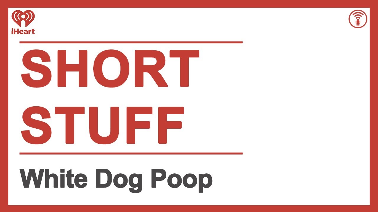 Short Stuff: White Dog Poop | STUFF YOU SHOULD KNOW