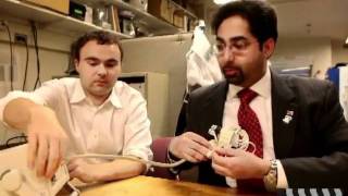 Robopsy: a Robotic Biopsy System