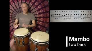 BDC Congas 8  Mambo two drums