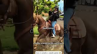 Dramatic American Horses Pulling The Dumbest Moves#FarmHorseChaos #SassyHorsesUSA