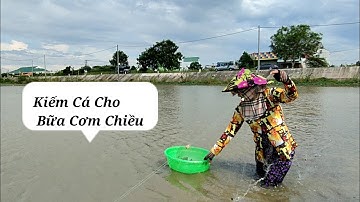 Thả Lưới Trên Cánh Đồng Ngập Nước Về Làm Bữa Cơm Chiều Cùng Gia Đình #vợchồngmiềntâytv