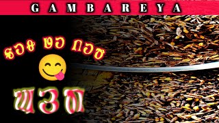 Bur Du Luh Jom Hai Janadah Remundari Video Gambareya8146