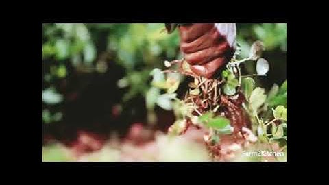 Food Traceability Platform on Blockchain