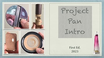 project pan Intro 2023 | rolling 22 items- using up what I already have