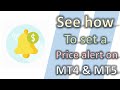 How To Set A Price Alert On MT4 & MT5