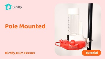 How to Mount Your Birdfy Hum Feeder on a Pole - Birdfy Hum Feeder Duo Tutorial