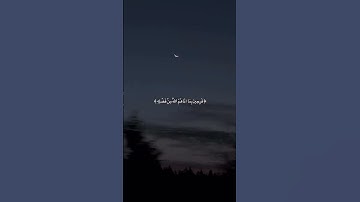 فَرِحِينَ بِمَا آتَاهُمُ اللَّهُ مِن فَضْلِهِ |محمد صديق المنشاوي |سورة ال عمران #قرآن